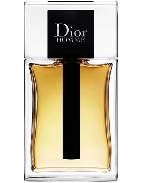 dior homme syndey